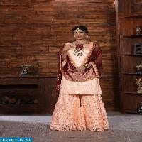 parvati plazzo Wholesale ready made collection